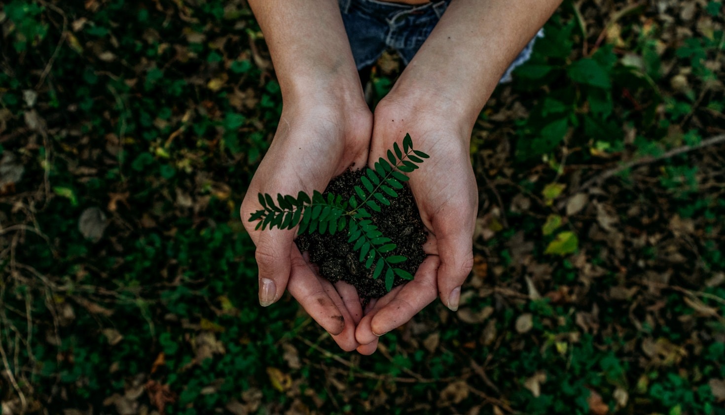 Fotografía y agricultura: una combinación poderosa